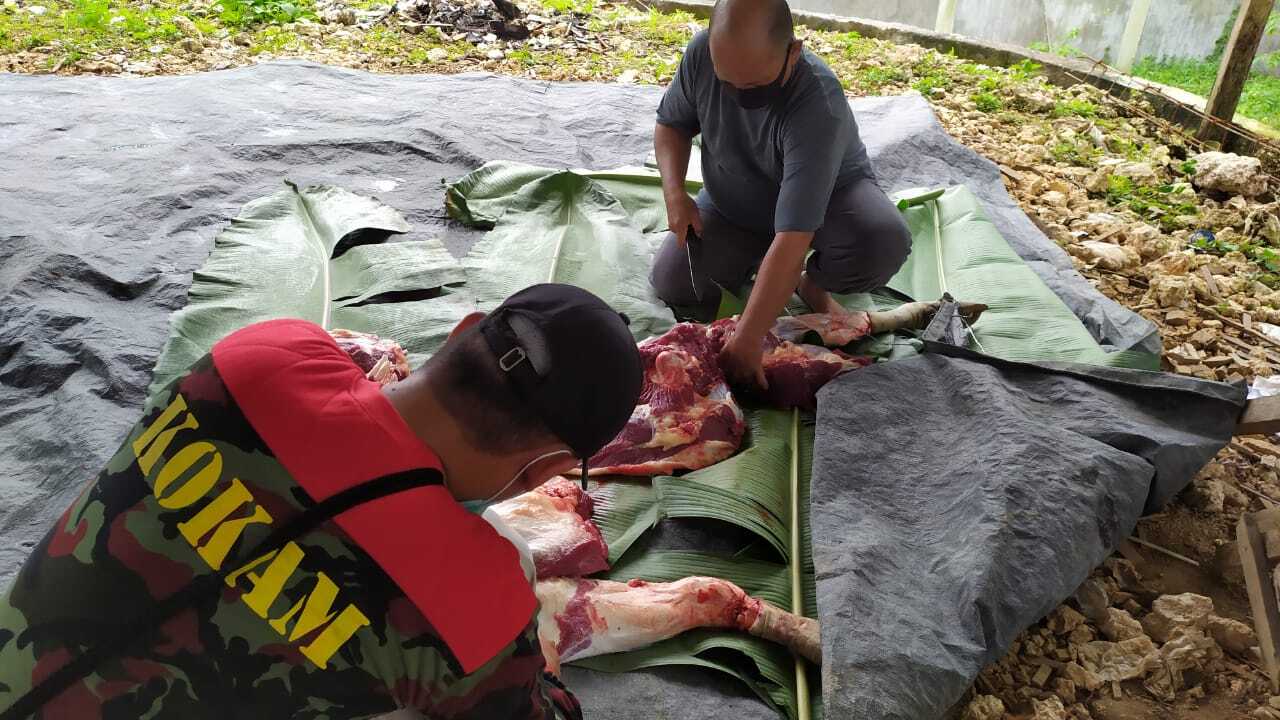 Menyambut Idul Adha, UM Buton Semebelih 3 ekor Sapi